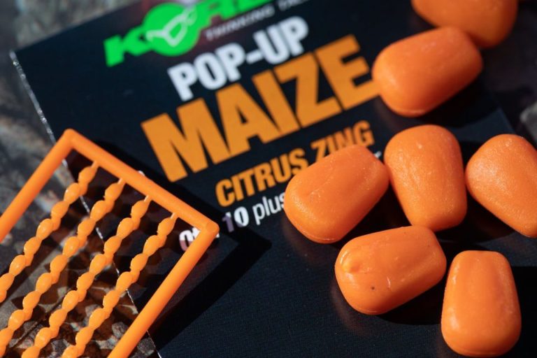 119026305_937989293356050_1251046184036925798_o