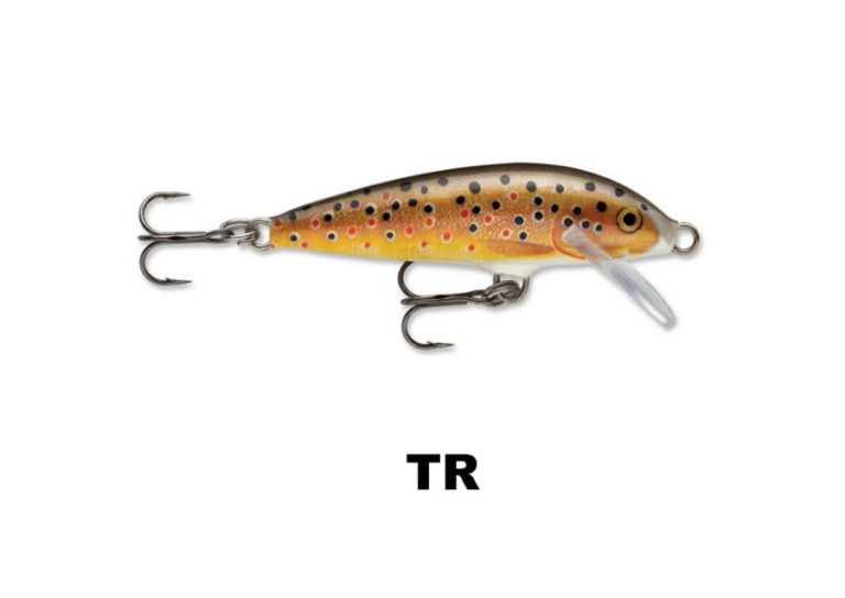 ORIGINAL_FLOAT_TR