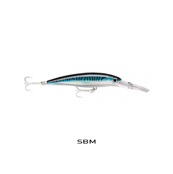 SBM
