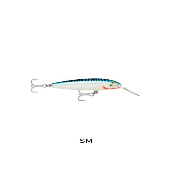 SM