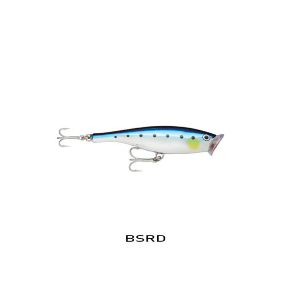 bsrd