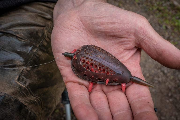 grub feeder korum_3