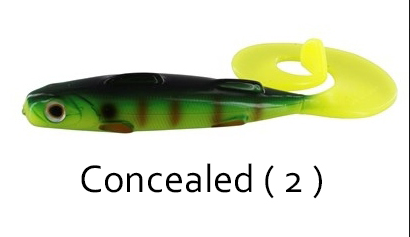 CONCEALED