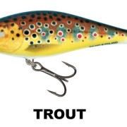 EXECUTOR_TROUT