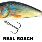 FATSO_REAL_ROACH