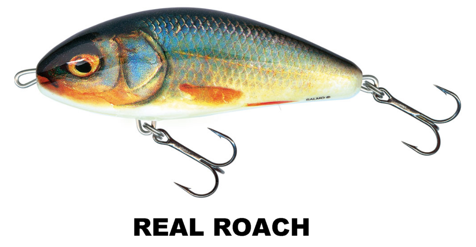 FATSO_REAL_ROACH