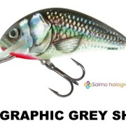HORNET_HOLOGRAPHIC GREY SHINER