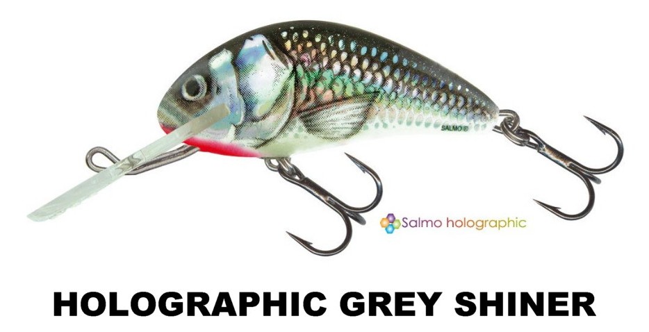 HORNET_HOLOGRAPHIC GREY SHINER