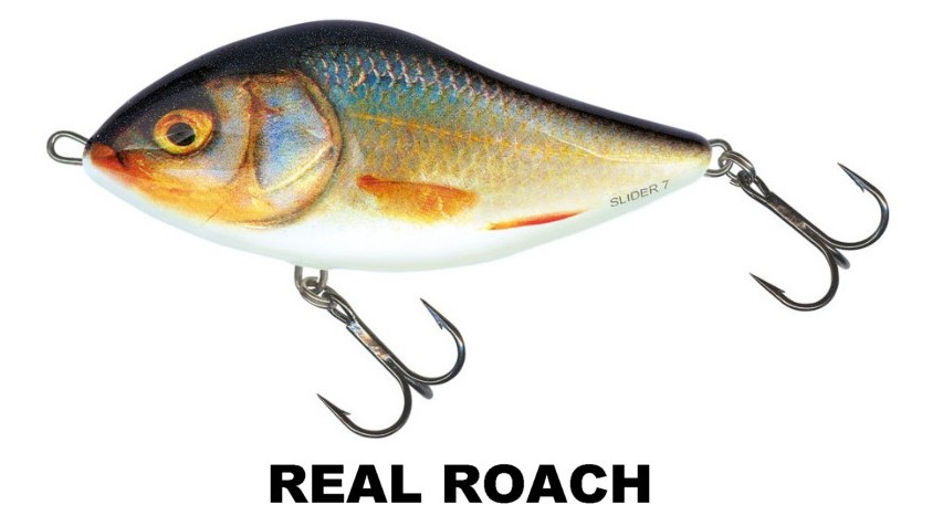SLIDER_REAL_ROACH