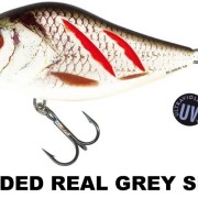 SLIDER_WOUNDED_REAL_GREY_SHINER