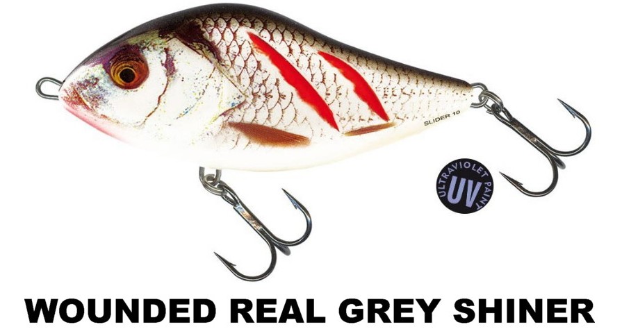 SLIDER_WOUNDED_REAL_GREY_SHINER