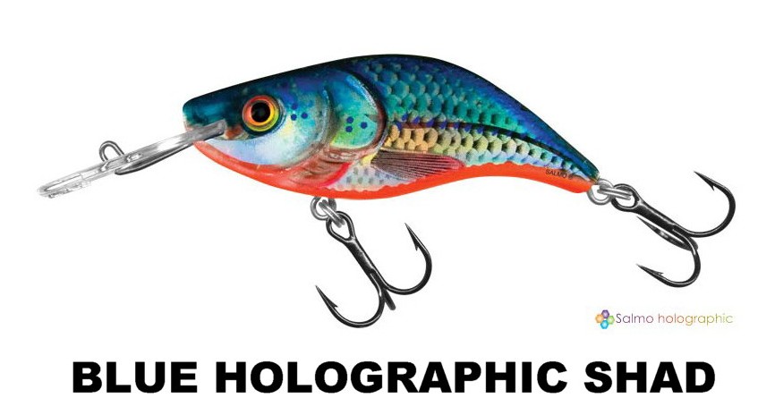SPARKY_SHAD_ BLUE HOLOGRAPHIC SHAD