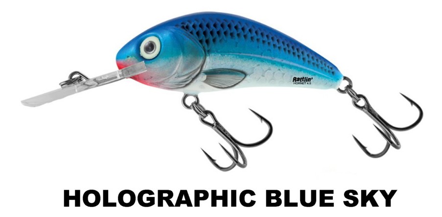 TINY_HOLOGRAPHIC BLUE SKY