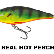 executor_real_hot_perch