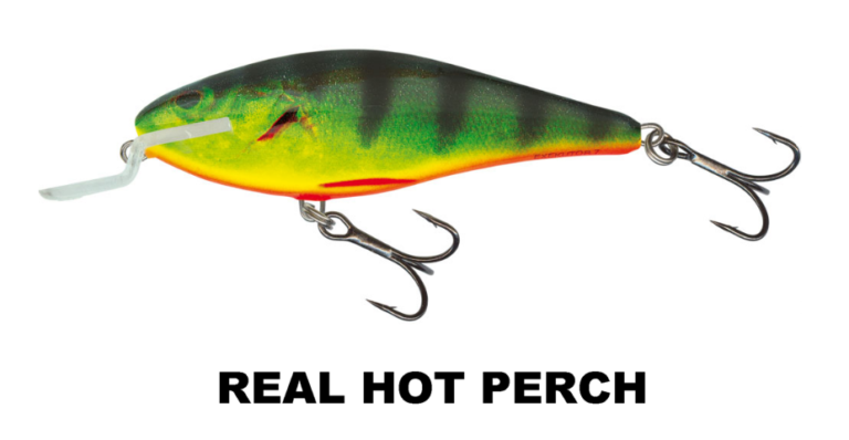 executor_real_hot_perch