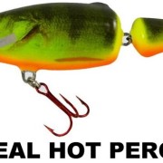 frisky_dr_real_hot_perch