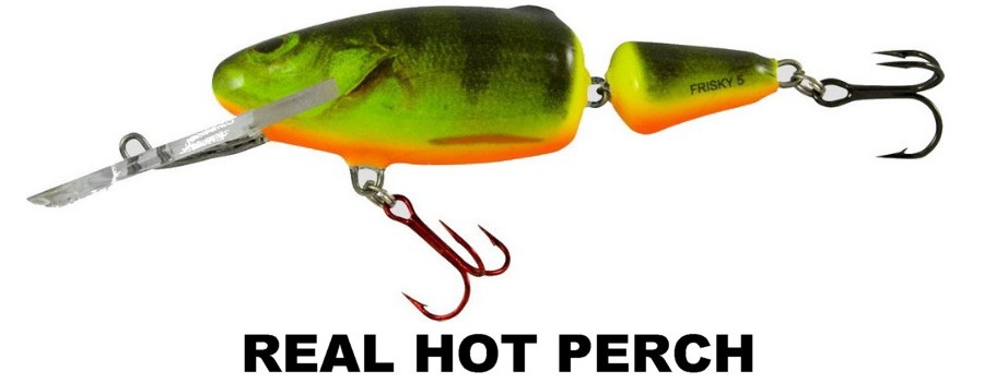 frisky_dr_real_hot_perch