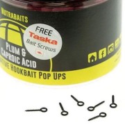 13743295_146201369141880_1093501872_n