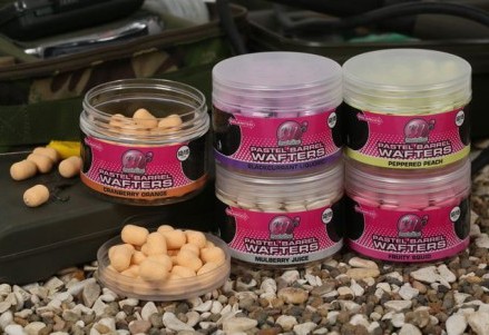 Pastel-Barrel-Wafter-Fruity-Squid