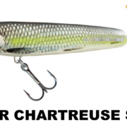 sweeper_silver_chart_shad
