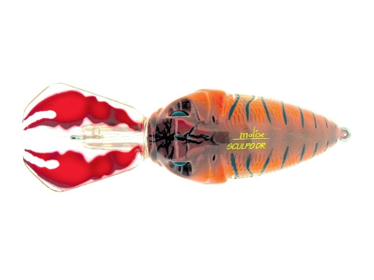 Sculpo-DR-USA-Special-Edition_130-Mud-Craw-LIP