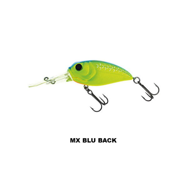 sculpo DR_MX BLU BACK