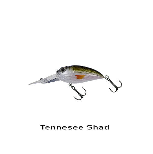 tennessee shad