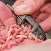 ICS_IN-LINE_MAGGOT_FEEDER_3