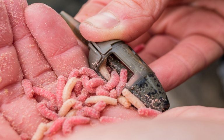 ICS_IN-LINE_MAGGOT_FEEDER_3