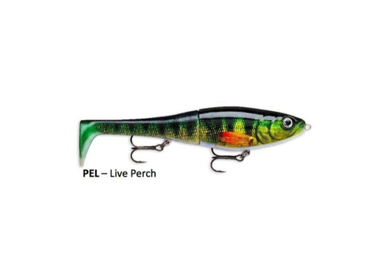 live perch