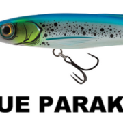 freediver_BLUE PARAKEET