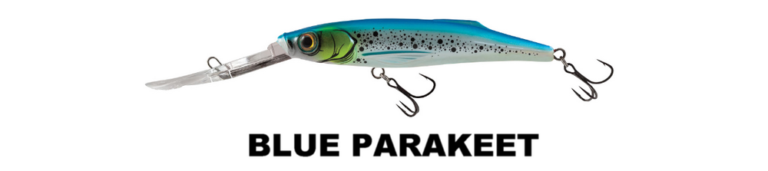 freediver_BLUE PARAKEET