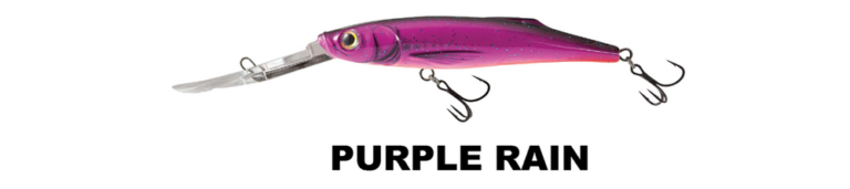 freediver_PURPLE RAIN