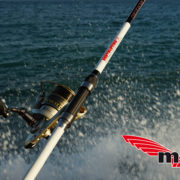 Redvolution-Scomber-Sensitive