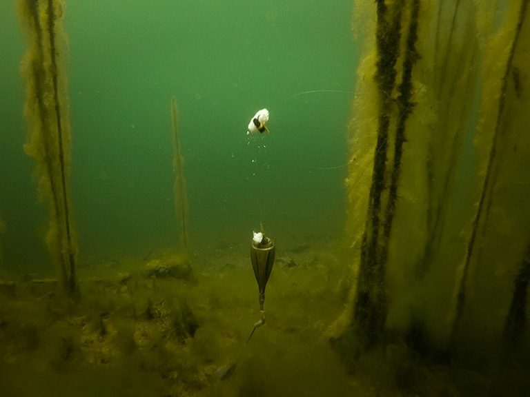 edges zig float kit_10