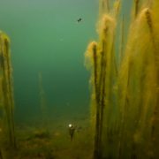 edges zig float kit_9