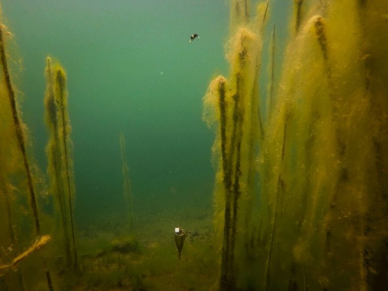 edges zig float kit_9