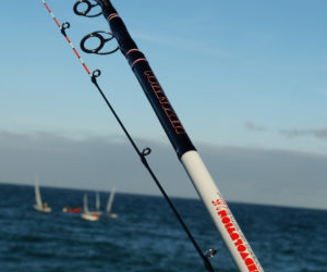 Canna Redvolution Scomber Sensitive Milo