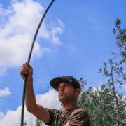 Distance Baiting Fox
