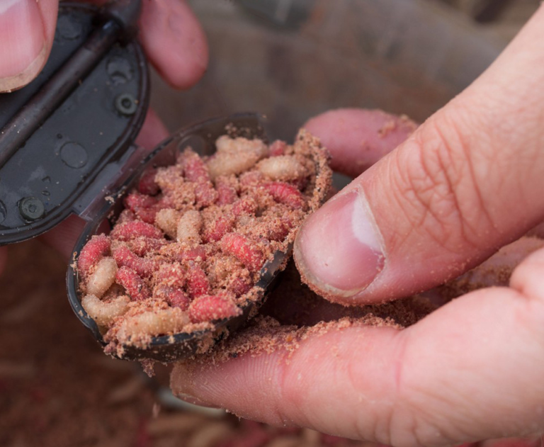 swivel grub feeder_2