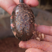 swivel grub feeder_3