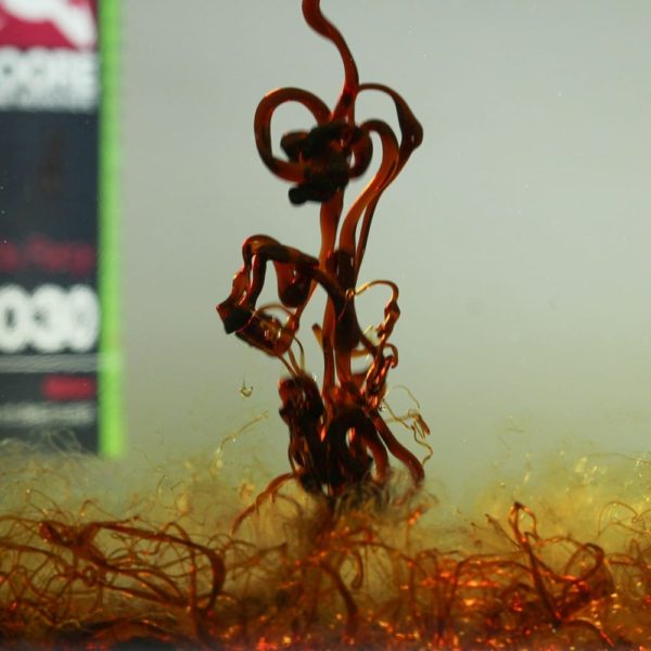 cc_moore_liquid_tuna_l030_500ml_2