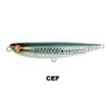 PRO-Q 65_CEF
