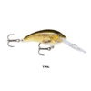SHAD DANCER TRL