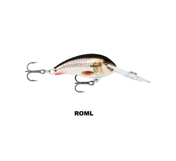 SHAD DANCER_SDD04_ROML