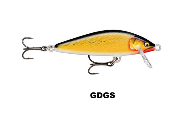 countdown elite_GDGS