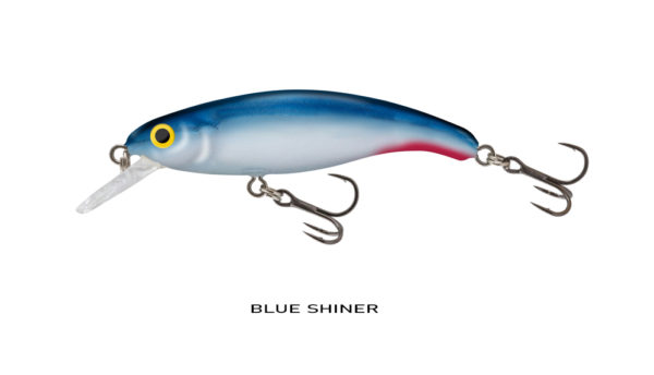 BLUE SHINER