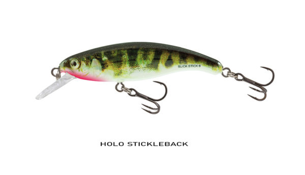 HOLO STICKLEBACK