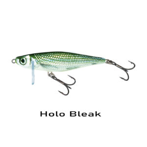 Salmo Lures