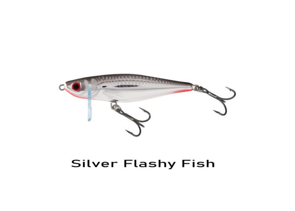 Silver Flashy Fish